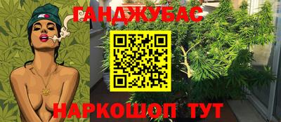 трава Тулун